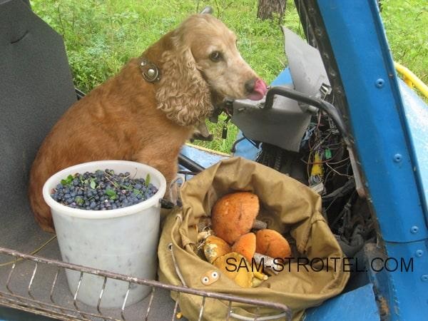 Самодельный автомобиль с 4 ведущими и управляемыми колёсами (24 фото)