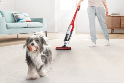 Беспроводные пылесосы Bosch: рейтинг лучших моделей + советы по выбору