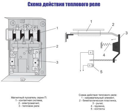 Тепловое реле для электродвигателя: принцип работы, устройство, как выбрать
