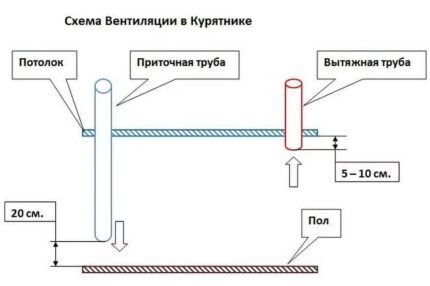 Вытяжка в курятнике: лучшие способы обустройства вентиляционной системы в птичнике