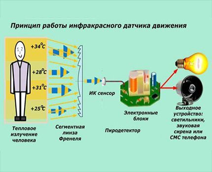 Как подключить датчик движения к лампочке: пошаговая инструкция Как подключить датчик движения к лампочке: пошаговая инструкция