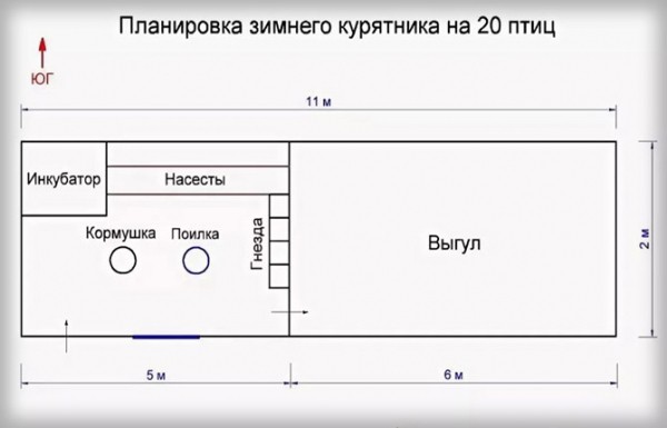 Как построить всесезонный курятник на 20 кур своими руками: пошаговая инструкция