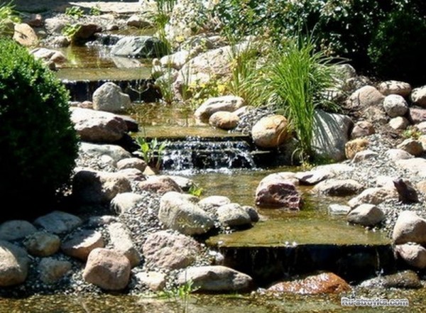 Условия месторасположения мини-водоема. Условия месторасположения мини-водоема.