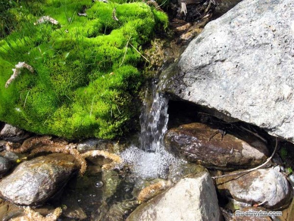 Родниковая и ключевая вода.