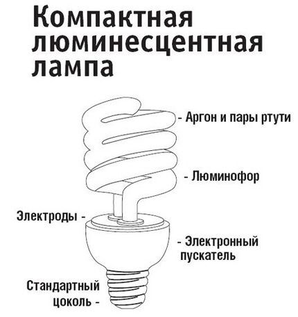 Компактные люминесцентные лампы: разновидности + обзор лучших производителей