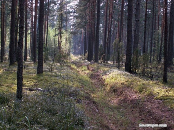 Санитарные и Противопожарные разрывы