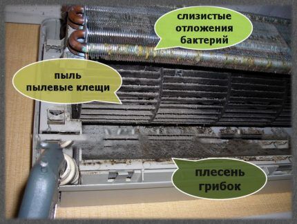 Чистка сплит-систем своими руками: профилактический осмотр и уход за техникой