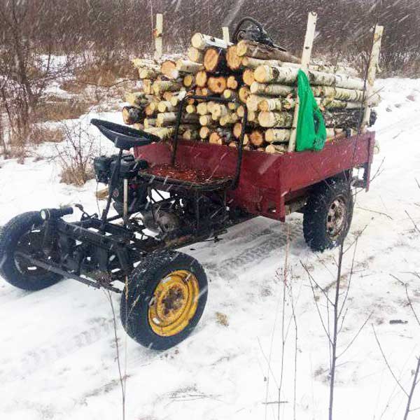 Самодельный Муравей: грузовой квадроцикл