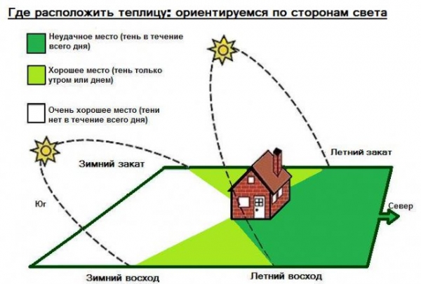 Как построить теплицу из поликарбоната своими руками